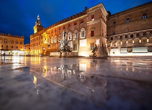 Foto-Puzzle-Nettuno